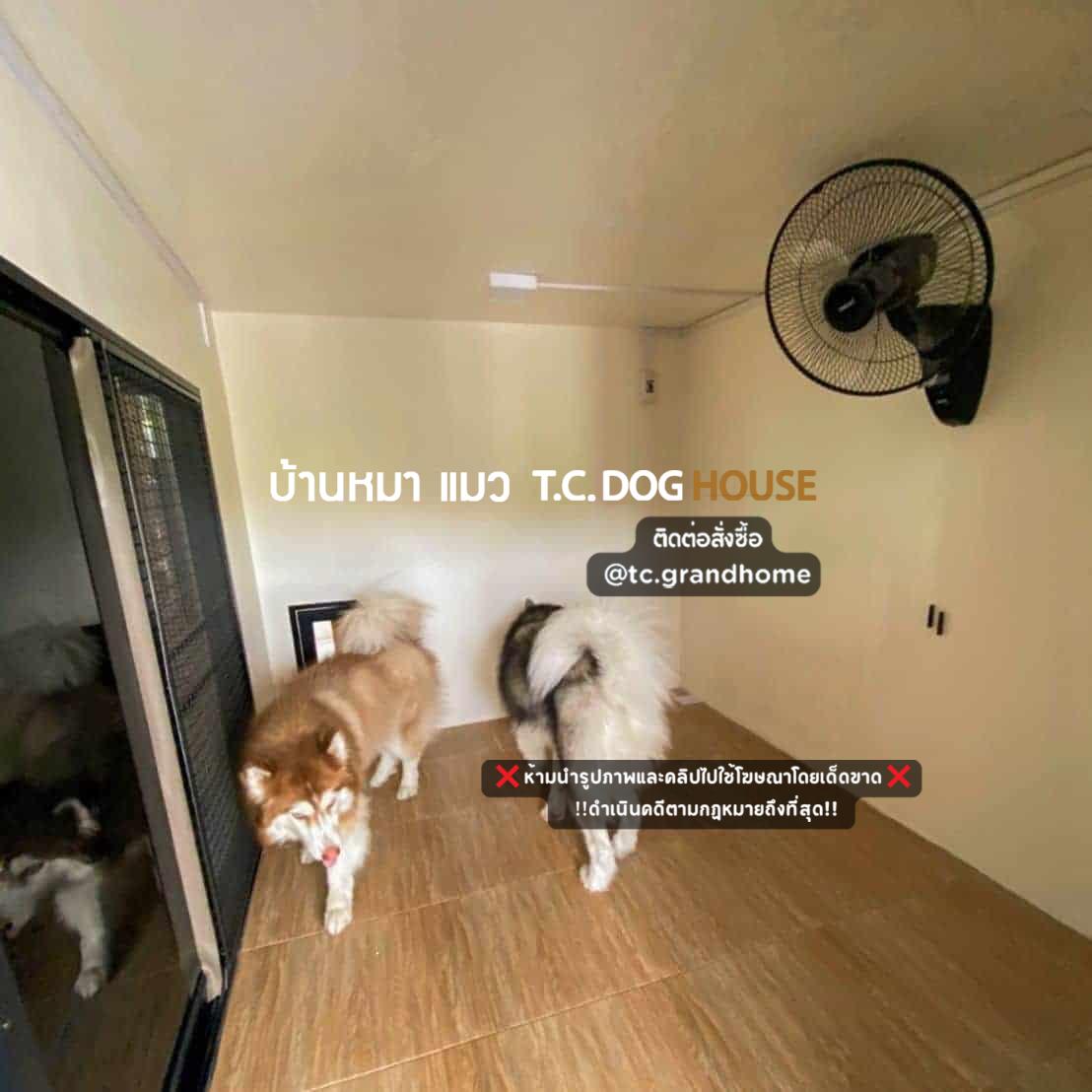 บ้านหมา บ้านแมว แบบ 3 โมเดิร์นสไตล์ ขนาด 200x250x180cm. - Image 6