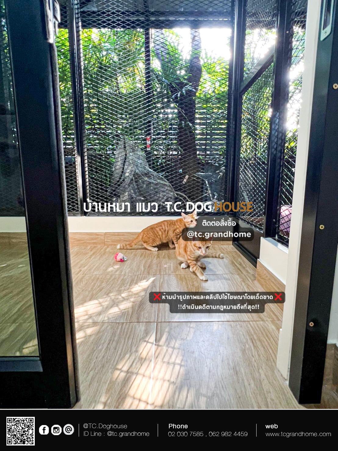บ้านหมา บ้านแมว แบบ 21 โมเดิร์นสไตล์ ขนาด 220x350x240cm. - Image 15