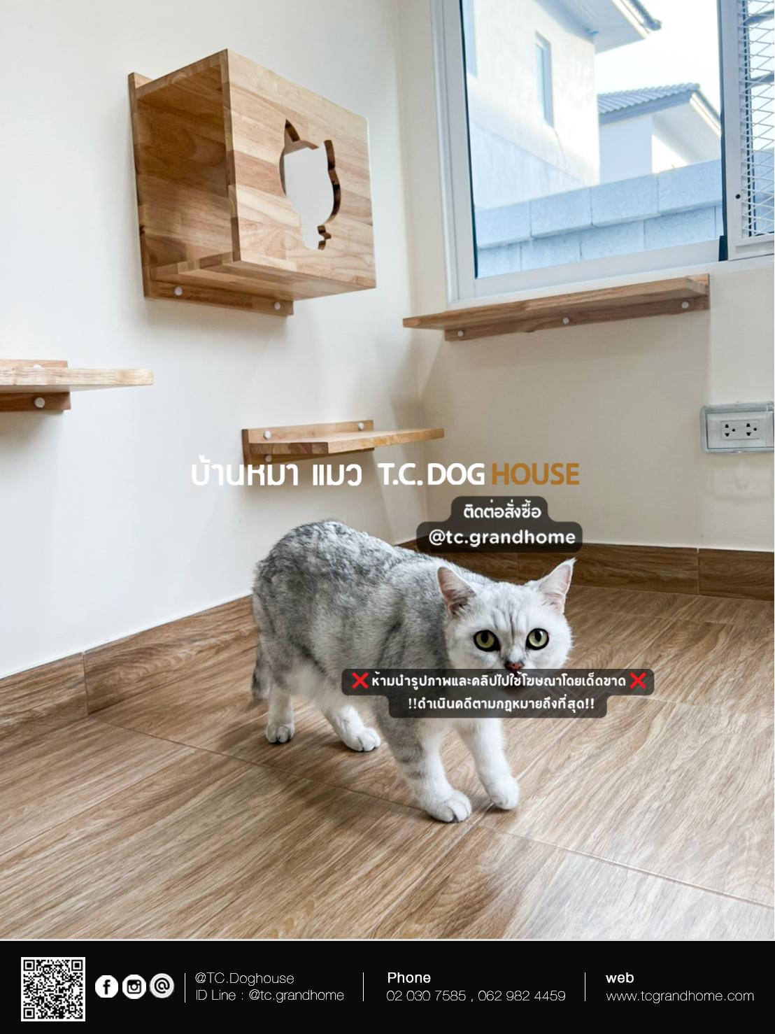 บ้านหมา บ้านแมว แบบ 11 นอร์ดิกสไตล์ ขนาด 170x400x240cm. - Image 11