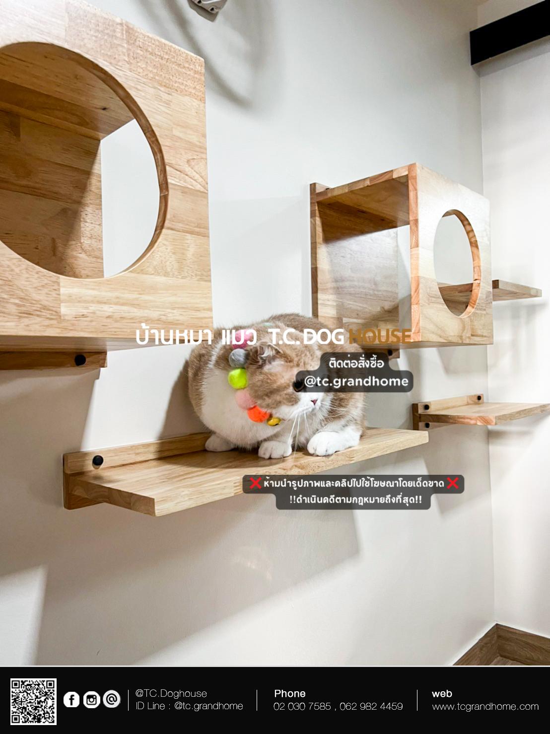 บ้านหมา บ้านแมว แบบ 21 โมเดิร์นสไตล์ ขนาด 220x350x240cm. - Image 10