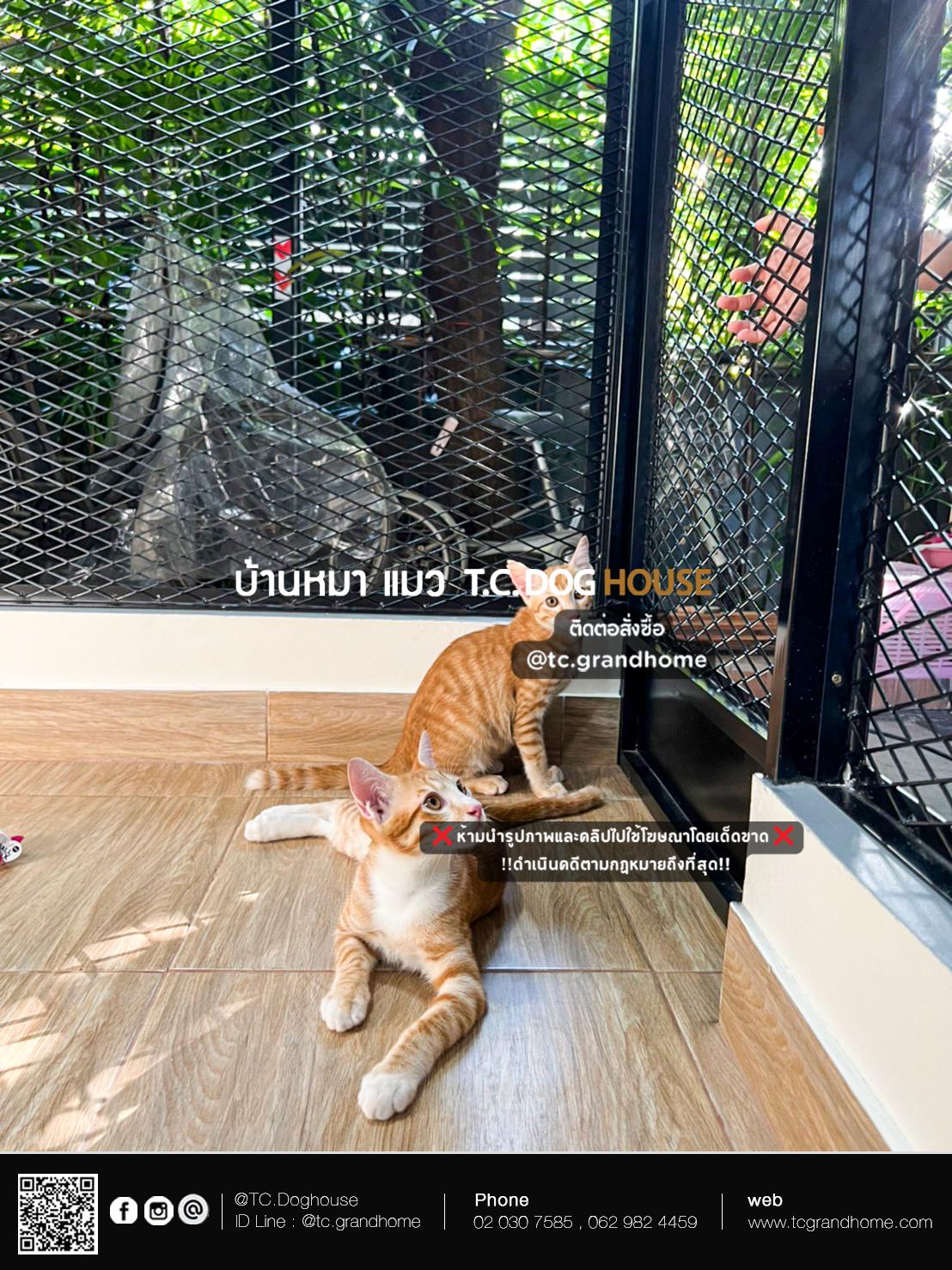 บ้านหมา บ้านแมว แบบ 21 โมเดิร์นสไตล์ ขนาด 220x350x240cm. - Image 11