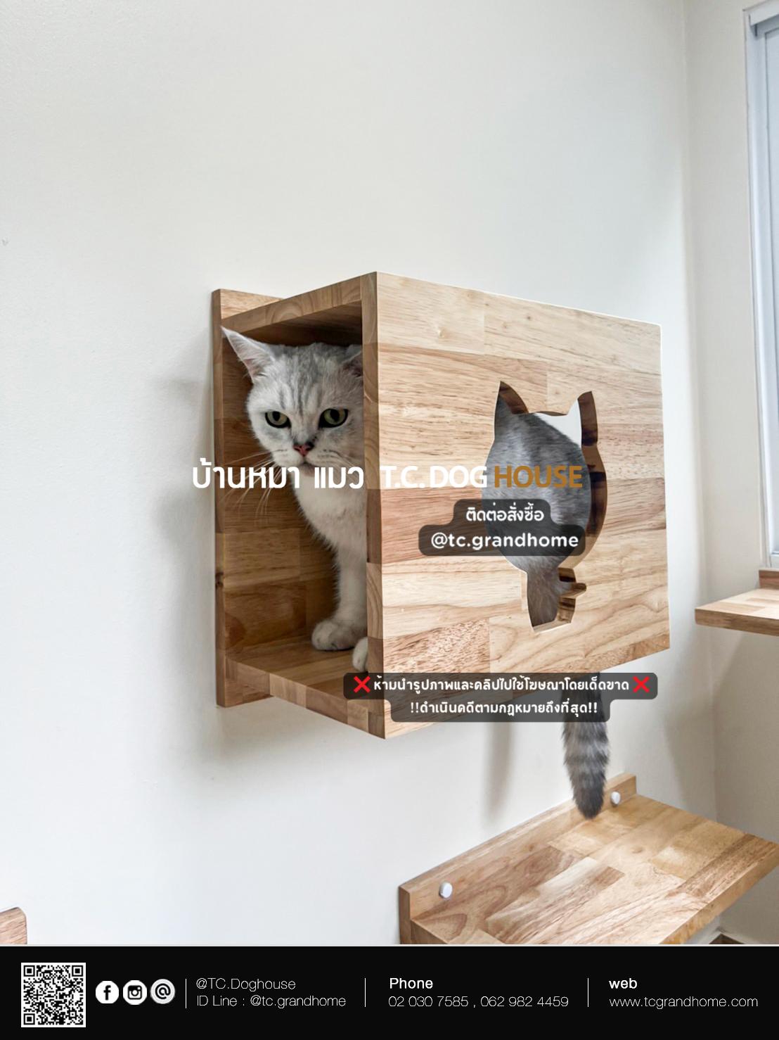 บ้านหมา บ้านแมว แบบ 11 นอร์ดิกสไตล์ ขนาด 170x400x240cm. - Image 8
