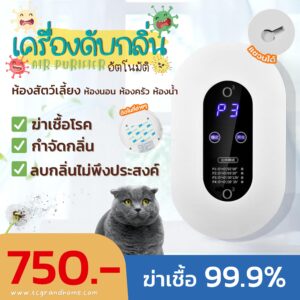 เครื่องฟอกอากาศ Air Purifier