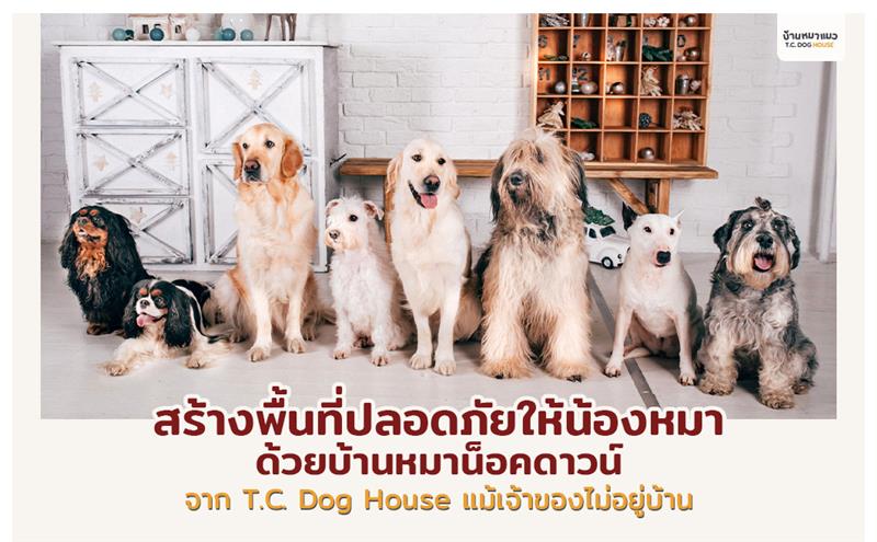 บ้านหมา ตัวช่วยป้องกันความเสี่ยงน้องหมาเมื่ออยู่ในบ้านลำพัง